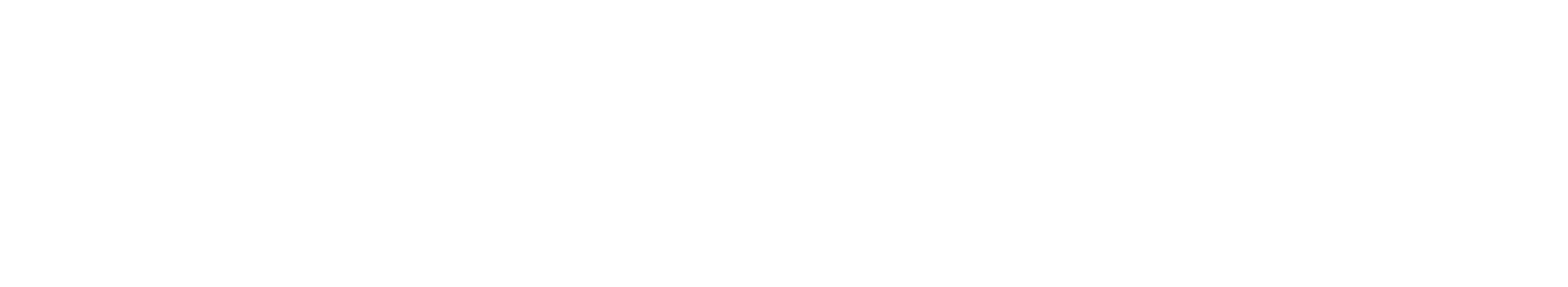 clever fit Logo